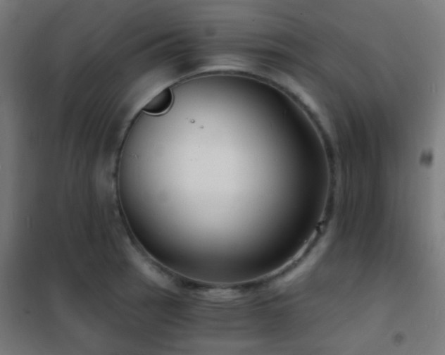 X0000102221137200807251204