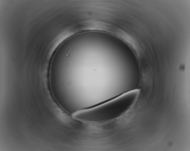 X0000102221138200807251204