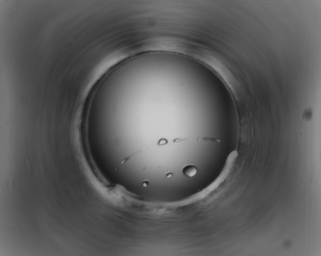 X0000102221139200807251204
