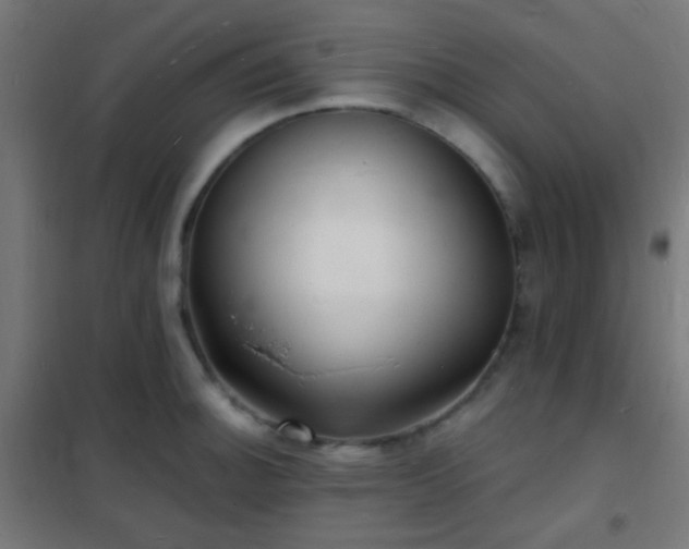 X0000102221140200807251204