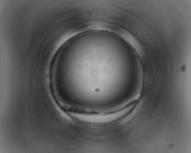 X0000102221141200807251205