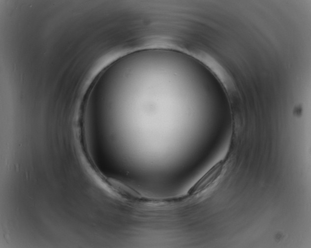 X0000102221142200807251205