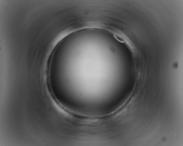 X0000102221143200807251205