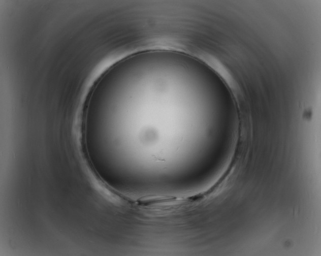 X0000102221144200807251205