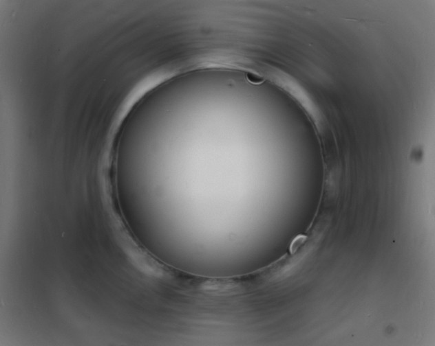 X0000102221146200807251205