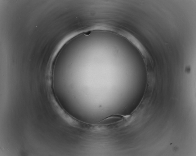 X0000102221148200807251205