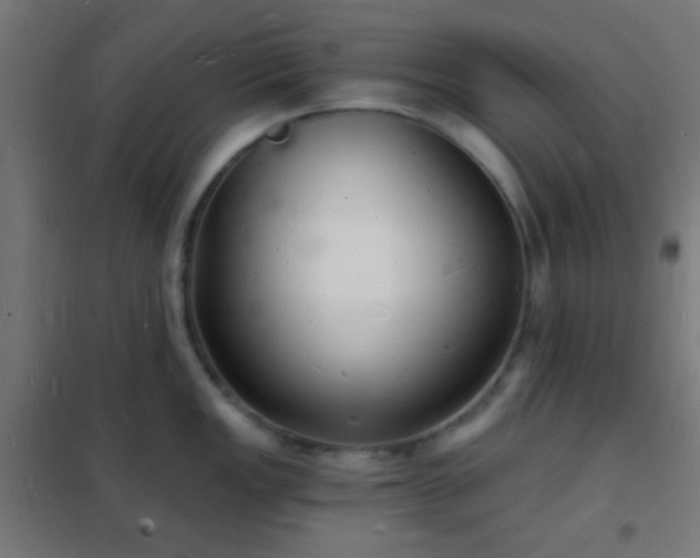 X0000102221149200807251205