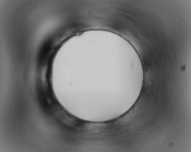 X0000102221150200807251205