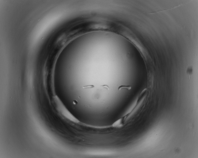 X0000102221151200807251205