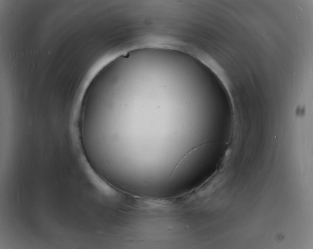 X0000102221152200807251205