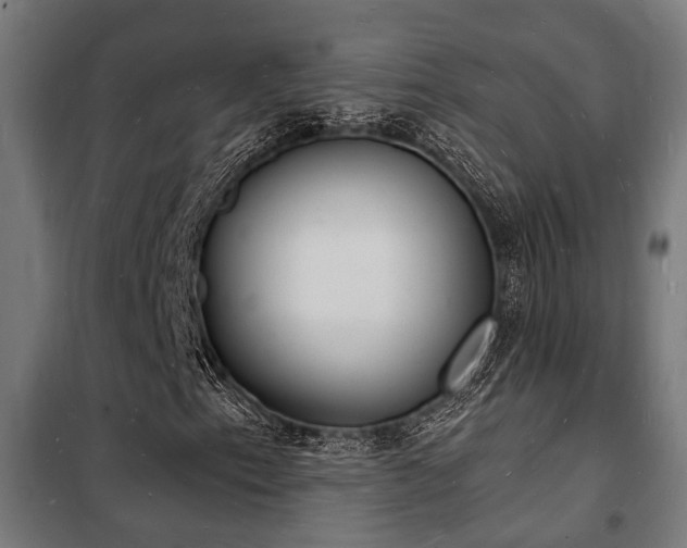 X0000102221153200807251204