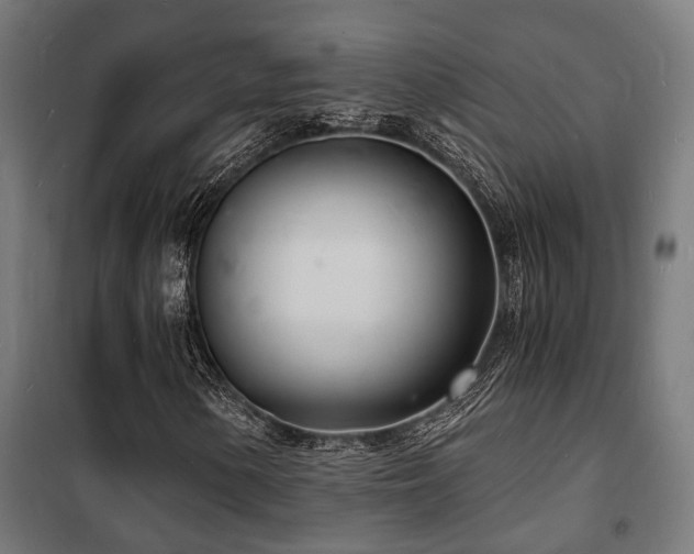 X0000102221154200807251204
