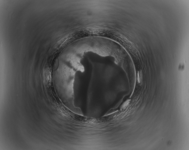 X0000102221155200807251204