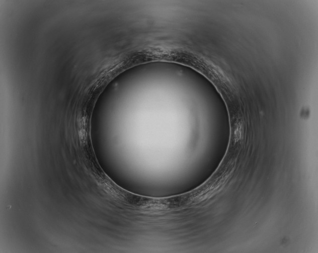 X0000102221156200807251204