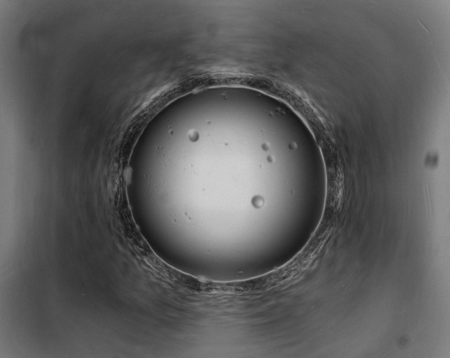 X0000102221157200807251204