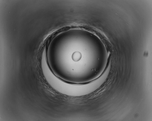 X0000102221160200807251204
