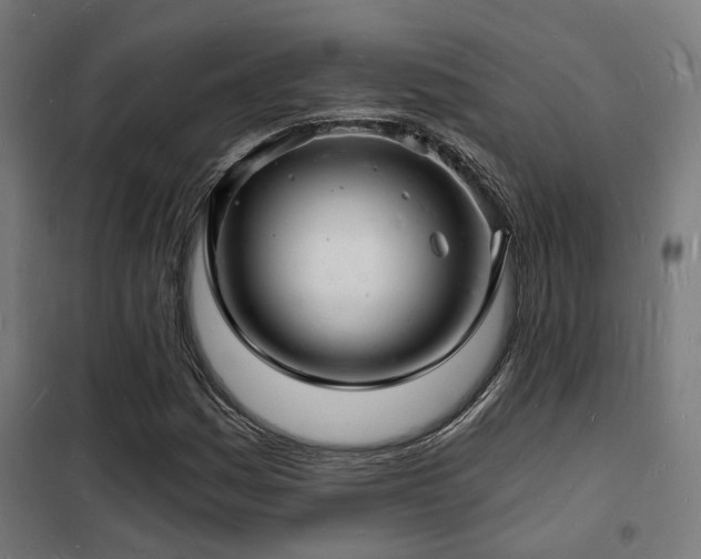 X0000102221161200807251204