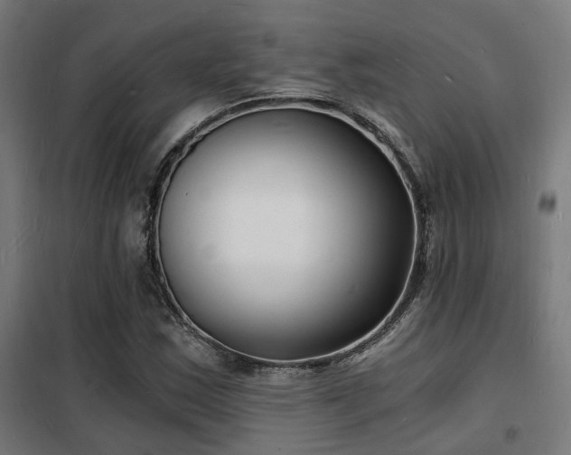 X0000102221163200807251204