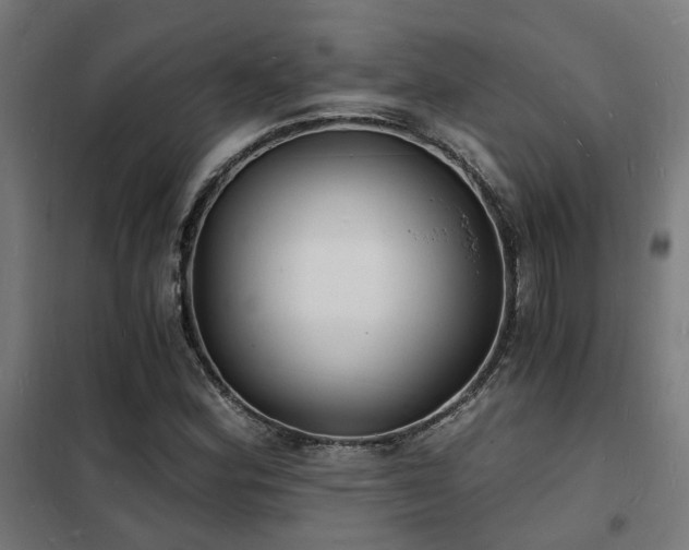 X0000102221164200807251204