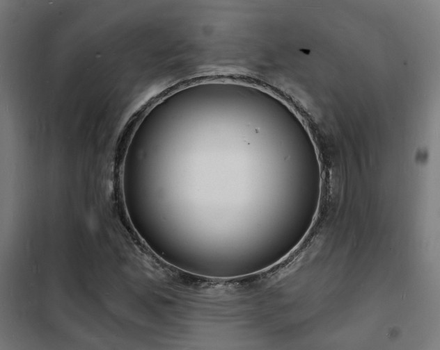 X0000102221165200807251204