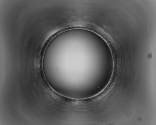 X0000102221166200807251204