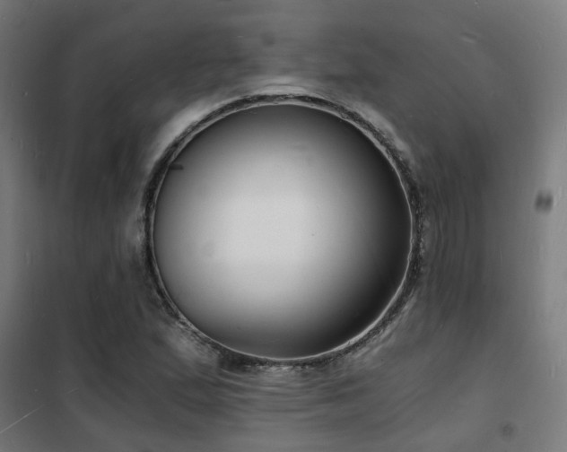 X0000102221167200807251204