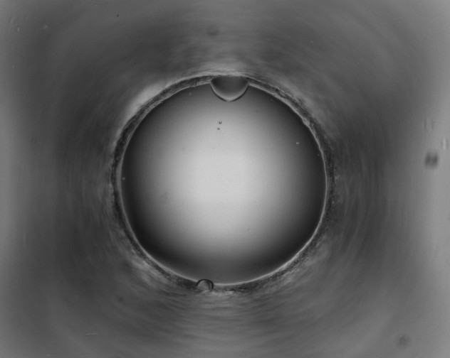X0000102221168200807251204
