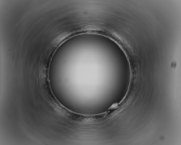 X0000102221169200807251204