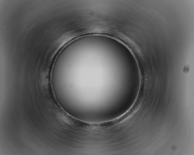 X0000102221170200807251204