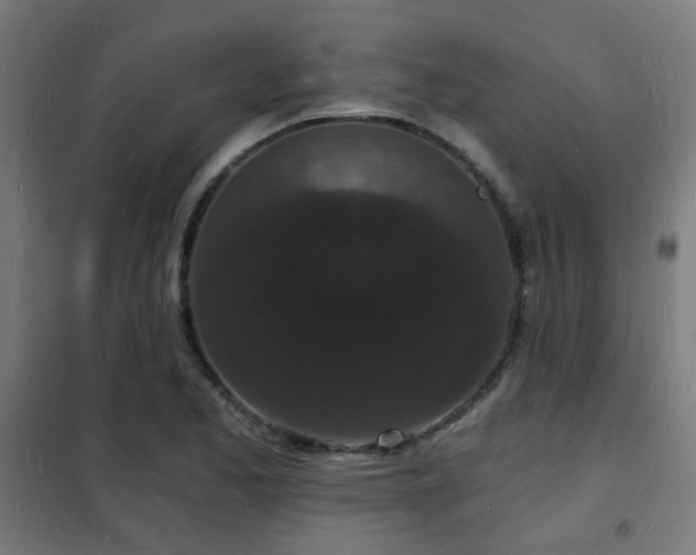 X0000102221173200807251204
