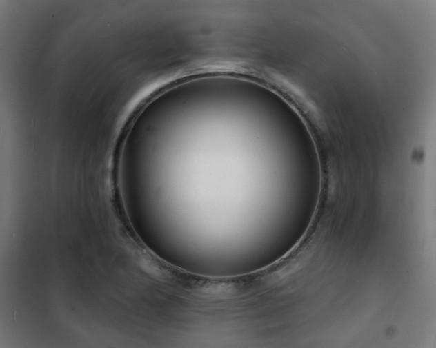 X0000102221174200807251204