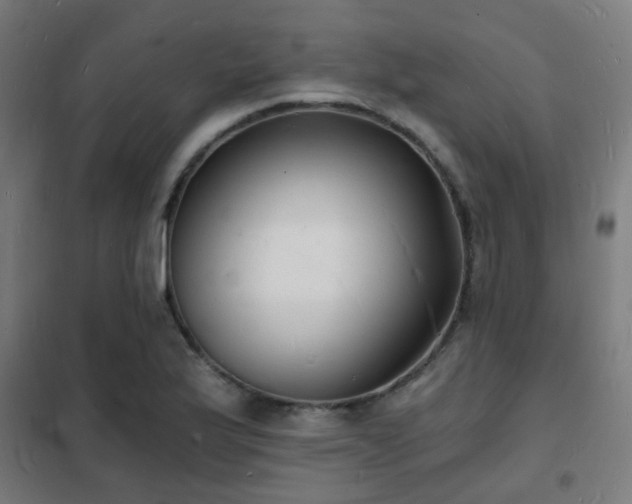 X0000102221175200807251204