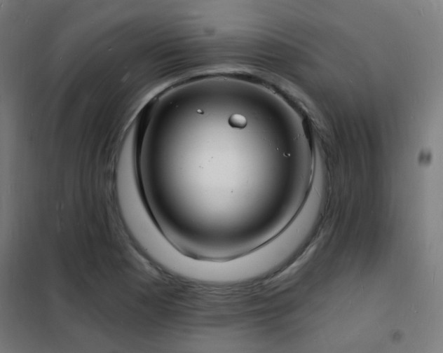 X0000102221177200807251204