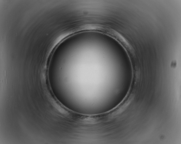X0000102221178200807251204