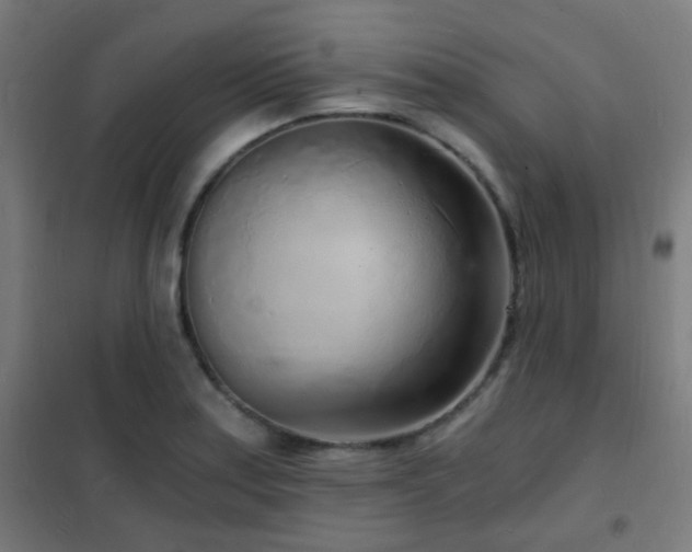 X0000102221179200807251204