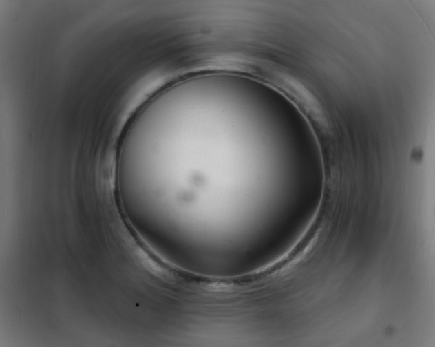 X0000102221180200807251204