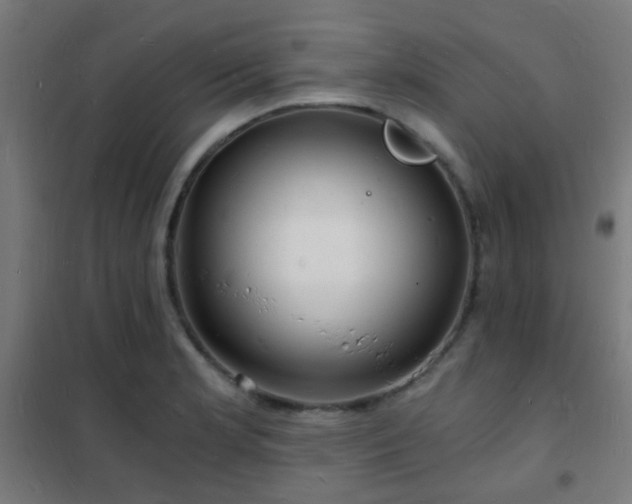 X0000102221181200807251204