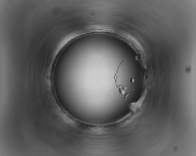 X0000102221182200807251203