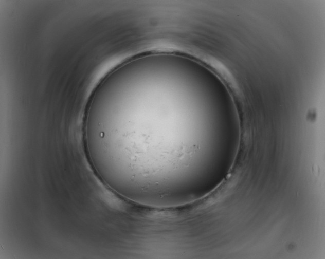 X0000102221183200807251203