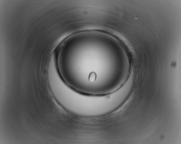 X0000102221185200807251203