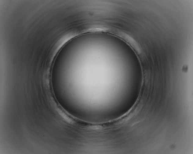 X0000102221186200807251203