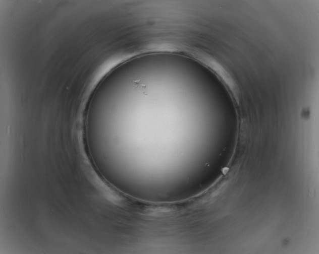 X0000102221187200807251203