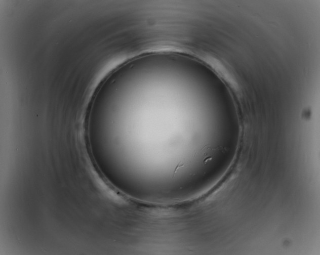 X0000102221189200807251203
