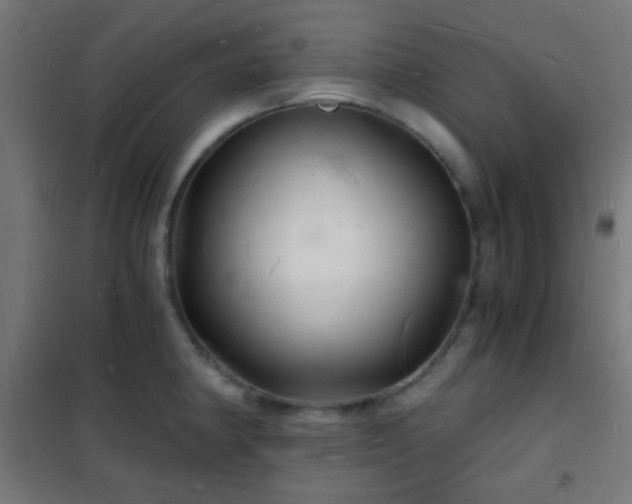 X0000102221190200807251203
