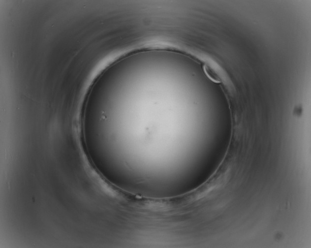 X0000102221191200807251203