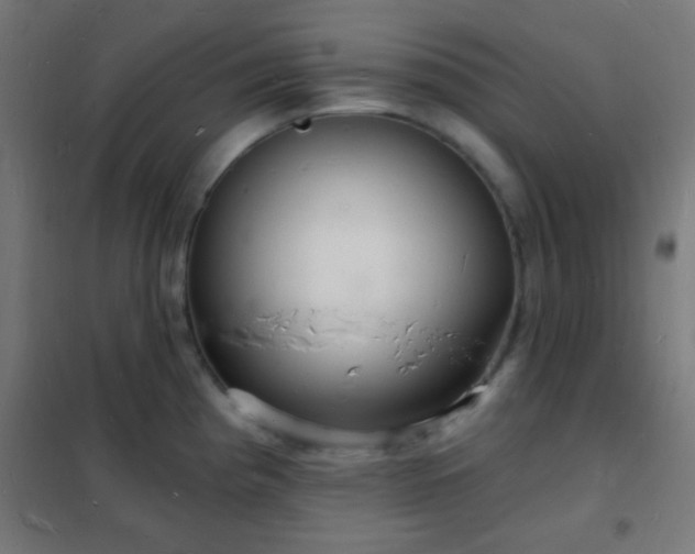 X0000102221193200807251203