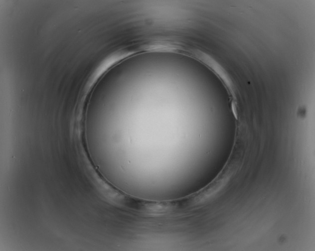 X0000102221195200807251203