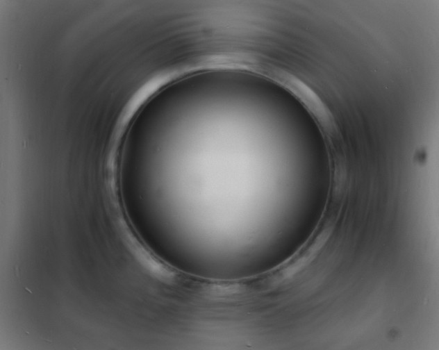 X0000102221196200807251203