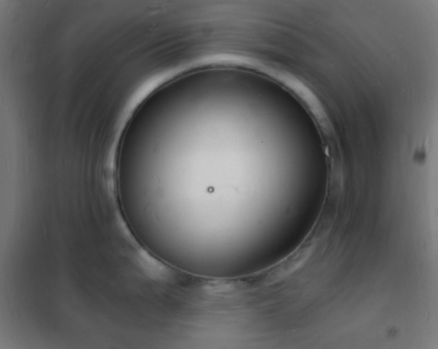 X0000102221199200807251203
