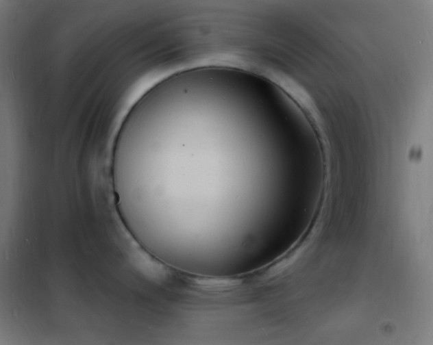 X0000102221200200807251203